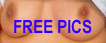 100 FREE Pics & Catagorized Links to 100,000 more FREE Pics!